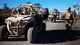 US Marines And 3d Littoral Combat Team Conduct Company Assault  PRACTICE COLLECTION [upl. by Cosette]