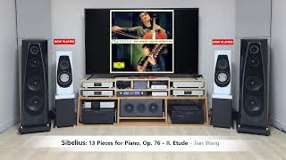 DIY 2way Bookshelf Speakers  Accuton  ScanSpeak [upl. by Enaerb]