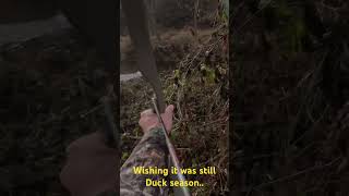 Wabbit season  hunting shortvideos reels nature instagram archery fyp shortsfeed viral [upl. by Aicinad]