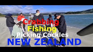 CRABBING  FISHING AND PICKING COCKLES HERE IN NEW ZEALAND DUNEDIN 2024 [upl. by Letnohs]