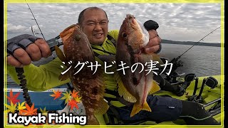 秋爆！ナブラ！高級魚！メーター超えも！【カヤックフィッシング～vol100】 [upl. by Charleen663]