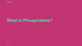 What is Phosphatase [upl. by Behm25]