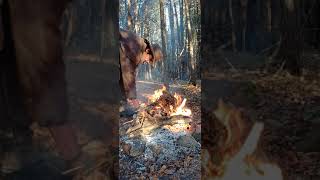 Revival Of A Dying Fire Full Clip rewildyourself [upl. by Anika]