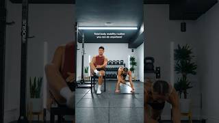 Full body mobility with chair options mobility warmup [upl. by Nafis]