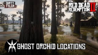 All Ghost Orchid Locations in Red Dead Redemption 2  RDR2 [upl. by Naols]