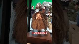 HAGRIDS HEAD  HARRY POTTER [upl. by Drusilla]