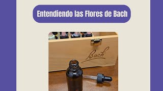 Equilibrando mis emociones con las Flores de Bach [upl. by Tenn]