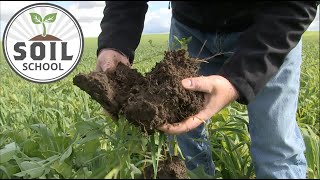 Soil School What makes a healthy soil [upl. by Anairuy]