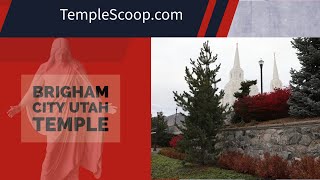 Brigham City Utah Temple on a winter night by a drone on December 15 2020 [upl. by Htebezile817]