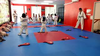 Taekwondo Training For Kids [upl. by Iteerp]