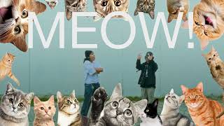 Young Cocoa  MEOW Lyric Video ft Luke April [upl. by Vere]