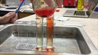 SCIENCE EXPERIMENT  How powerful Bleach is at Removing Color OXIDATION how to remove color [upl. by Artemisia]