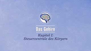 Das Gehirn Steuerzentrale des Körpers [upl. by Franek]