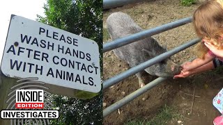 What’s at Petting Zoos That Can Get You Sick [upl. by Alyakem]