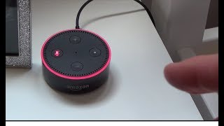 How to FORCE Amazon Echo to Update to the latest Software Version [upl. by Dygert382]