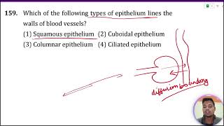 Which of the following types of epithelium lines the walls of blood vessels  1 Ciliated epitheliu [upl. by Adav]