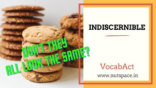 Indiscernible Meaning amp Pronunciation  English amp Hindi Vocabulary  VocabAct [upl. by Doraj]