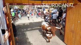 TORO ABRE PUERTA TORILES ENCIERRO BOADILLA DEL MONTE 2016 [upl. by Adelina]