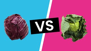 Red Cabbage vs Green Cabbage  What’s the Difference [upl. by Idnym]