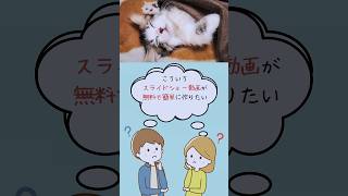 Canvaで簡単なスライドショー動画を作ろう！ canva パソコン初心者 スライドショー動画 [upl. by Vaientina]