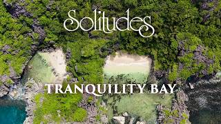 Dan Gibson’s Solitudes  Wishful Thinking  Tranquility Bay [upl. by Notirb973]