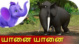 யானை யானை  Yanai Yanai  Tamil Nursery Rhymes for Children  Appu Series [upl. by Blossom97]