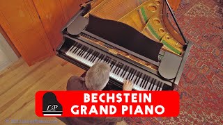 Bechstein Grand Piano for Sale  German Precision at Living Pianos [upl. by Yltsew]