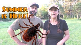 Protect Yo SelfFrom Ticks and Chiggers [upl. by Marelya]