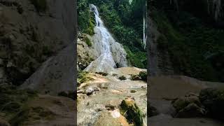 The Spring Turns Into a Waterfall in a Stunning Forest Park shorts waterfall watersounds [upl. by Engenia839]