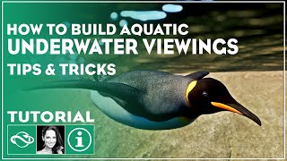 ▶ How to build an Underwater Viewing Gallery in Planet Zoo Tutorial  Tips amp Tricks [upl. by Lilac]