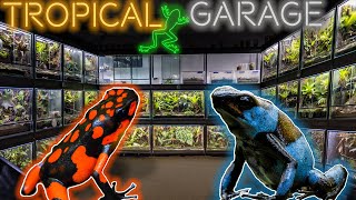 Taking a Tour of the World’s DEADLIEST Room  FROG ROOM TOUR 2023 [upl. by Atirac]