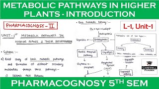 Metabolic pathways in higher plants and their determination  L1 U1  pharmacognosy 5th sem [upl. by Strage804]