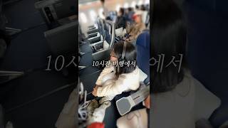 한국에서 미국으로 1시간만에 가는 방법✈️💨 에어프레미아 미국여행 탑승후기 [upl. by Nimzaj]