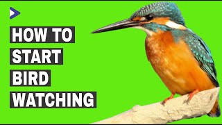 How To Start Bird Watching  Bird Watching For Beginners [upl. by Rehptsirhc]