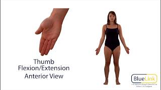 Thumb Flexion Extension [upl. by Goodspeed348]