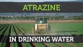 Atrazine Contamination In Drinking Water What You Need To Know [upl. by Elleynod]