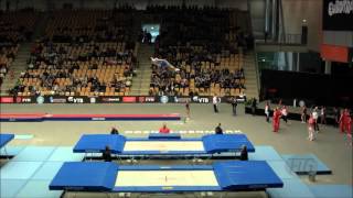 Mens Double Somersault Trampoline Compilation [upl. by Victoria]