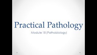 Practical Pathology Slides  Module 18 Pathobiology [upl. by Ramal]