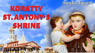 0630am  HOLY MASS  SATURDAY  09th DECEMBER 2023  STANTONY S SHRINE KORATTY [upl. by Gamaliel]