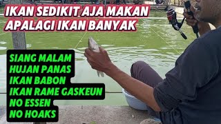 KANAN KIRI CUMA NONTON  UMPAN MANCING IKAN MAS [upl. by Valer]