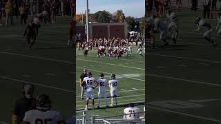 Salisbury Sea Gulls SyRus McGowan to Dario Belizaire for a touchdown vs Rowan Profs ncaa football [upl. by Lorac]