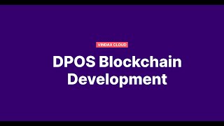 VinDAX Cloud  DPOS Blockchain Development [upl. by Aicats]