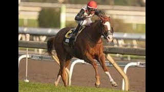 Woodbine Mile Stakes G1 2024 [upl. by Bron]