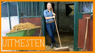 Stal uitmesten  PaardenpraatTV [upl. by Fisoi]