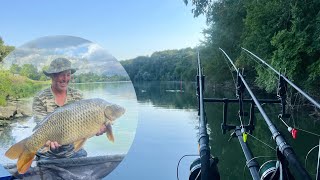 Carping adventure River Saone 🎣🇫🇷 [upl. by Blatman]