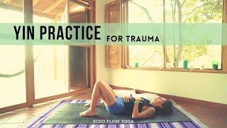 Yin Yoga for Trauma  Integrative Mental Health Flow with Echo [upl. by Uhile865]