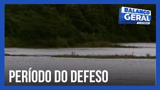 Começa o período do defeso que deve ser respeitado até 28 de fevereiro [upl. by Elrebmik179]