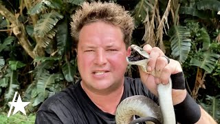 Dingo Dinkelman YouTube Reptile Handler Dead After Snake Bite [upl. by Hasina]