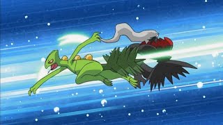 Pokemon  Ashs Sceptile Vs Darkrai in Hindi [upl. by Gerome132]