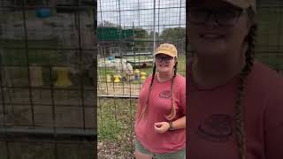 Animal Education with Shayleen 2024 Nov 7 [upl. by Alane]